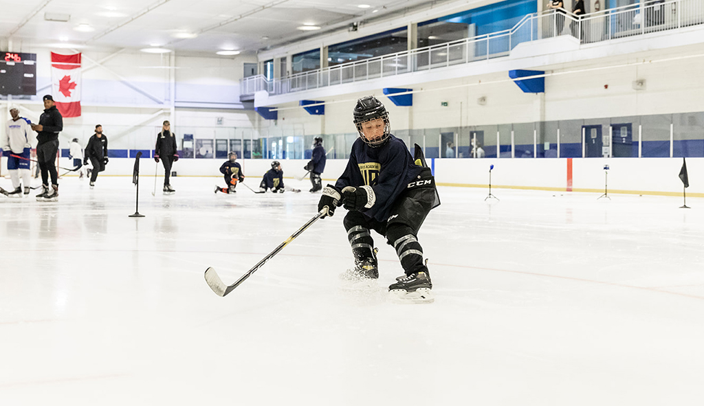 Summer Hockey Camps