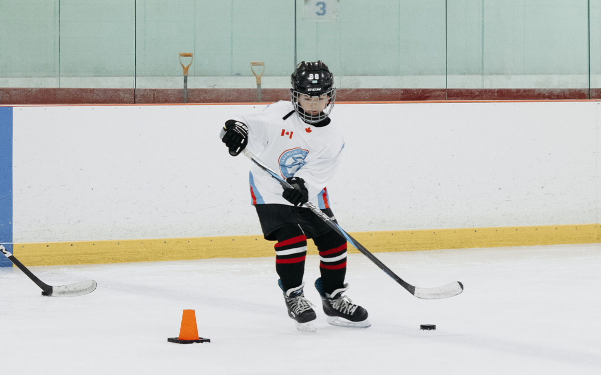 TRAIN-Ice-Hockey-2018-2020-Hockey-Skills-Clinic-for-House-League-(HL)-Select-(SEL)-and-A TRAIN-Ice-Hockey-2018-2020-Hockey-Skills-Clinic-for-House-League-(HL)-Select-(SEL)-and-A