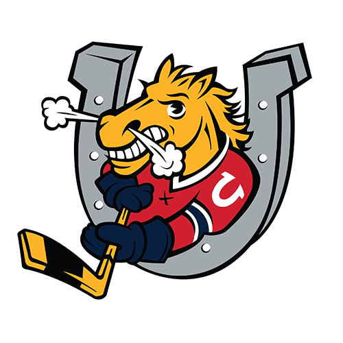 The Barrie Colts Hockey Club is excited to welcome Daniel Erlich back to the organization, this time in a new role as Player Development Coach.